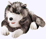 Timber Wolf Puppet