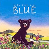 Baby Bear Sees Blue Hardcover Picture Book