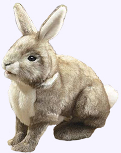 14 in. Cottontail Rabbit Puppet
