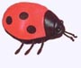 4 in. Ladybug Finger Puppet