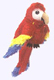 Macaw Puppet