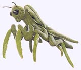 7 in. Praying Mantis Finger Puppet