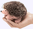 20 in. Hedgehog Finger Puppet