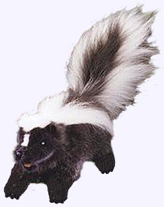 14 in. Skunk Hand Puppet