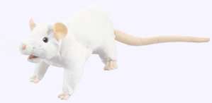 19 in. from nose to end of tail White Rat Puppet