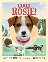Good Rosie Hardcover Picture Book
